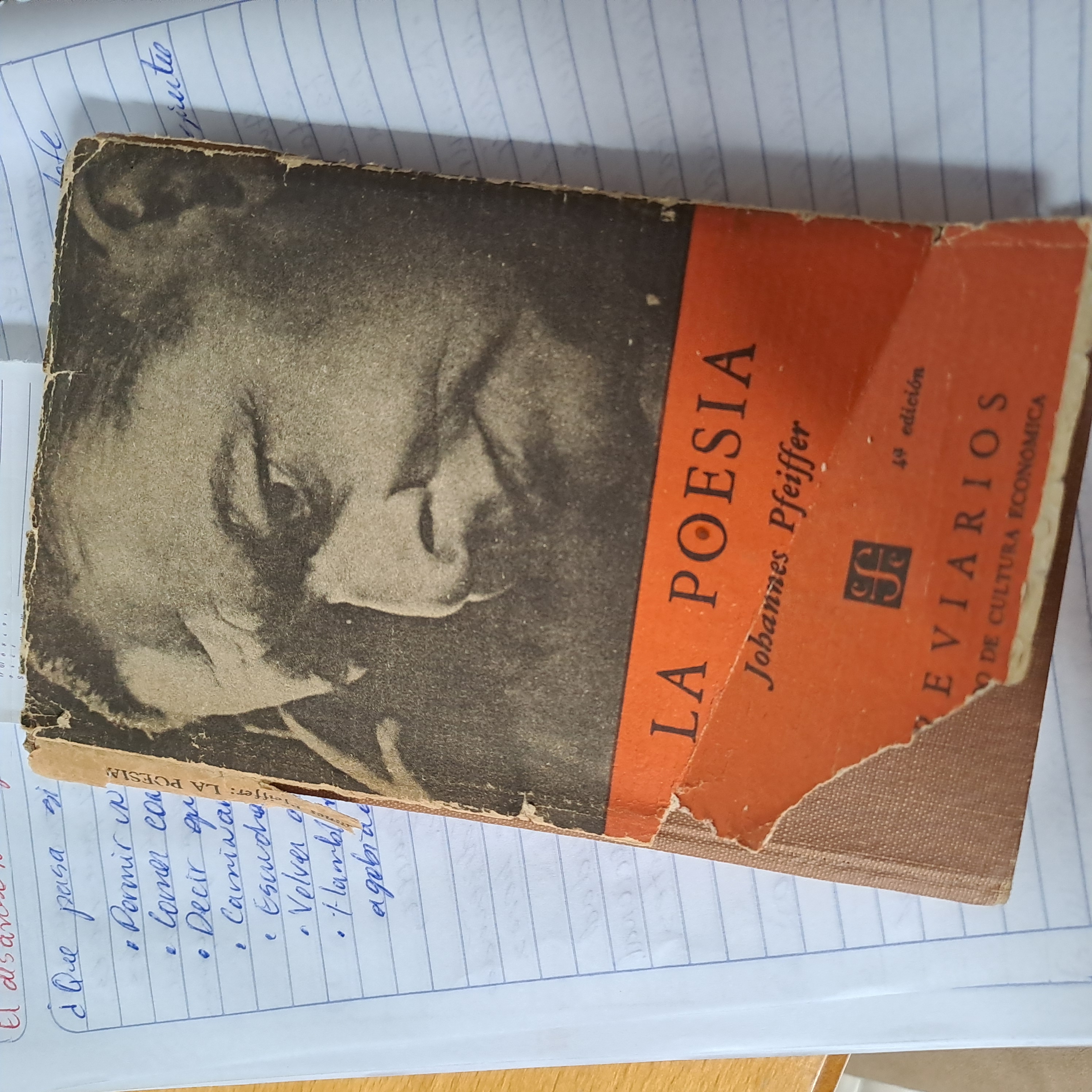 Portada de libro de Johannes Pfeiffer