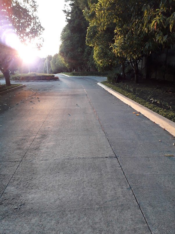 Imagen de un camina nuevo